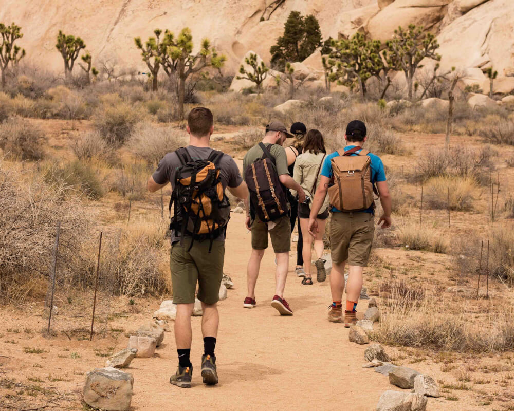 National Parks in California, A Guide for Nature Lovers